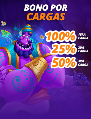 Bonos de Primeras Cargas